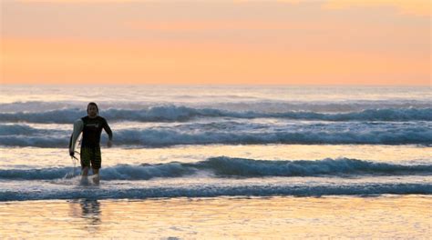 Piha Beach - Tours and Activities | Expedia