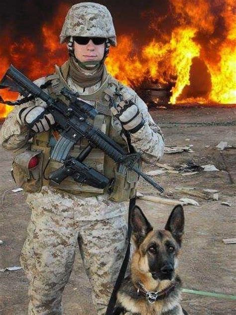 German Shepherd Military War K9 & Handler - Heroes & God Bless you! | Dog soldiers, Military ...