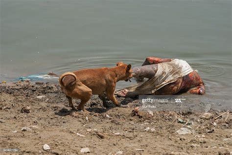 Poisoned Ganga, The River Ganges — naturetails | Vermont Folk Troth