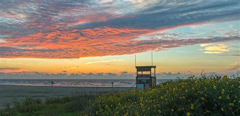 Gallery Items Archive - Galveston Island Nature Tourism Council