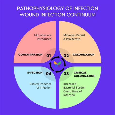 Wound Infection Continuum