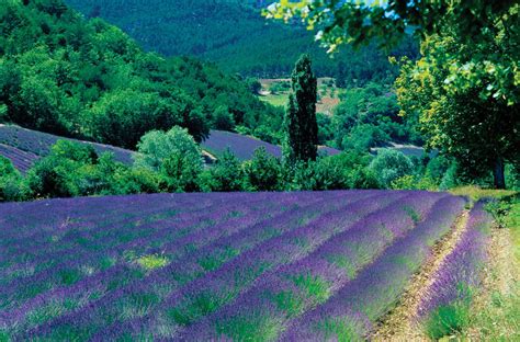 Provence–Alpes–Cote d’Azur | History, Culture, & Geography | Britannica