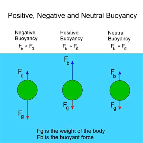 Archimedes' Principle, Buoyancy Experiments and Flotation Force - Owlcation