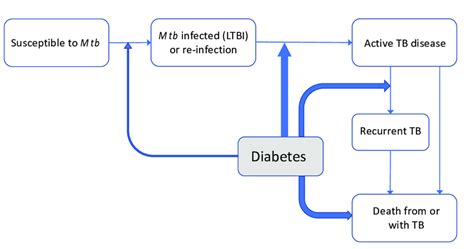 Effects of diabetes on natural history of tuberculosis. Natural history ...