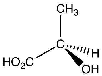 Fischer Projection - Chemistry LibreTexts