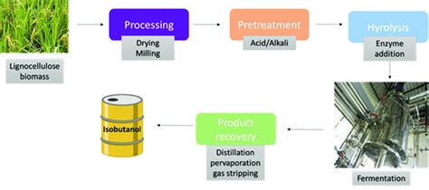 Overall isobutanol production from Lignocellulosic biomass. | Download ...