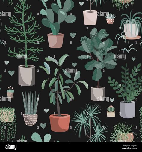 Cute houseplants on dark background. House indoor plant vector cartoon ...