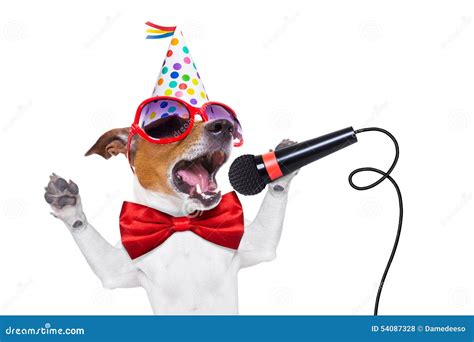 Happy birthday dog singing stock photo. Image of funny - 54087328