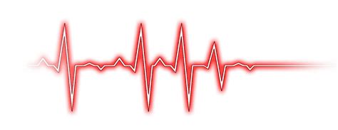 Collection of Heartbeat PNG HD. | PlusPNG