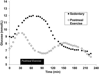 Frontiers | Exercise after You Eat: Hitting the Postprandial Glucose Target