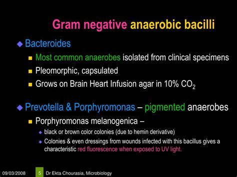 PPT - Non Sporing Anaerobes PowerPoint Presentation, free download - ID:5684806