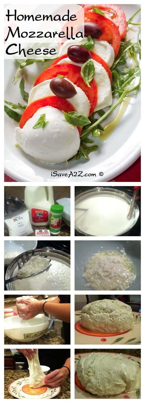 Delicious Homemade Mozzarella Cheese Recipe - iSaveA2Z.com