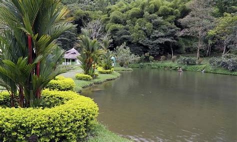 Rionegro, Colombia 2023: Best Places to Visit - Tripadvisor