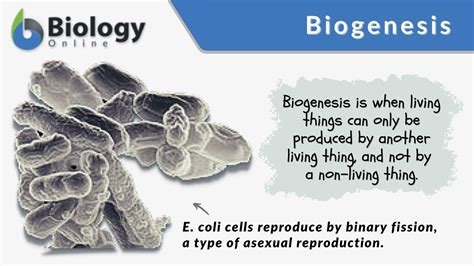 Biogenesis - Definition and Examples - Biology Online Dictionary