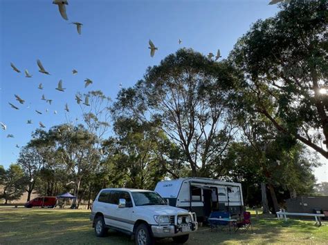 Pine Country Caravan Park - Mount Gambier - SA - Travel Around the Country