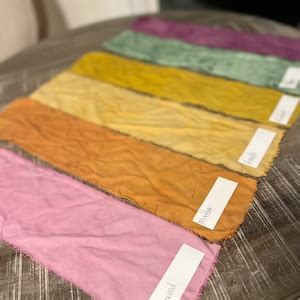 Natural Dye Kit alum Included - Etsy