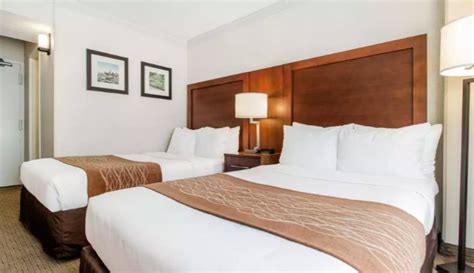 San Francisco Hotels Accommodations | Comfort Inn San Francisco near Fisherman's Wharf