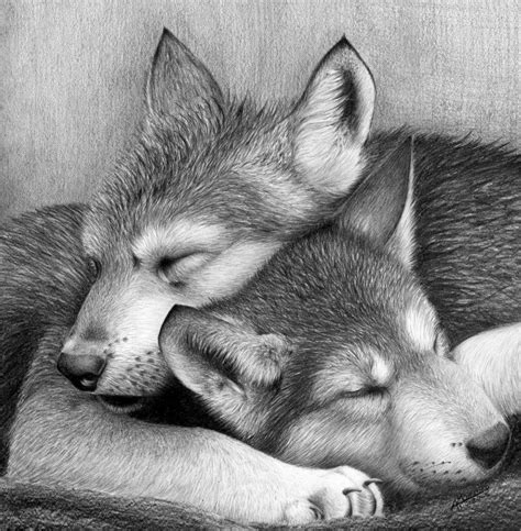 wolf puppies AWH! | Realistic animal drawings, Animal drawings, Animal ...