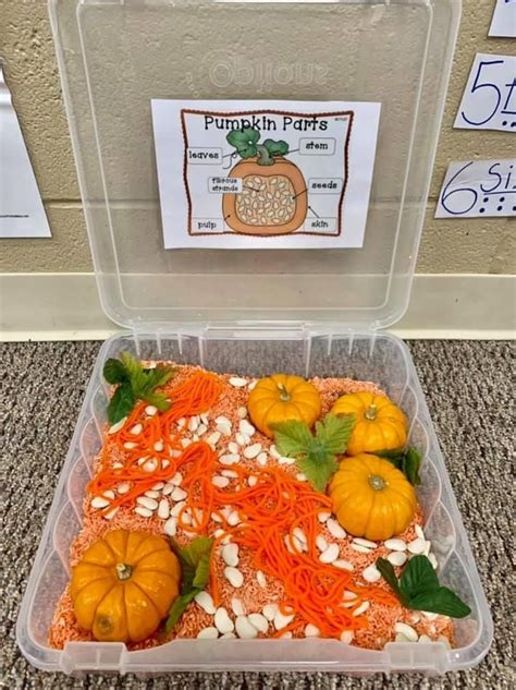 DIY sensory bin for fall science. Dyed rice, garbanzo beans “pumpkin ...