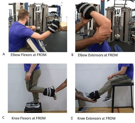 FROM elbow and knee eccentric exercise positions; FROMfull range of ...