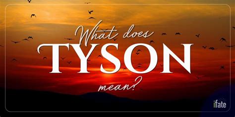 The Baby Name "Tyson": What it means, and why numerologists like it