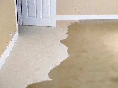 7 Tips For Drying Wet Carpet Preventing Mold Growth - Astrobrite Carpet