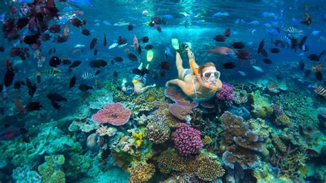 Port Vila Scuba Diving — Dive Adventures