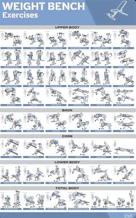 QuickFit Sliding Bench Workout Poster Compatible With Total Gym, Weider ...