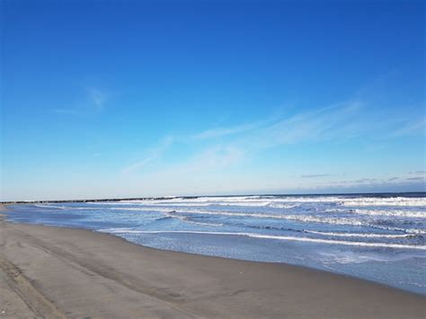 Beach Walker’s Report- Avalon NJ