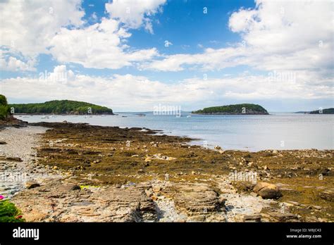 Bar Harbor in the Acadia National Park Stock Photo - Alamy