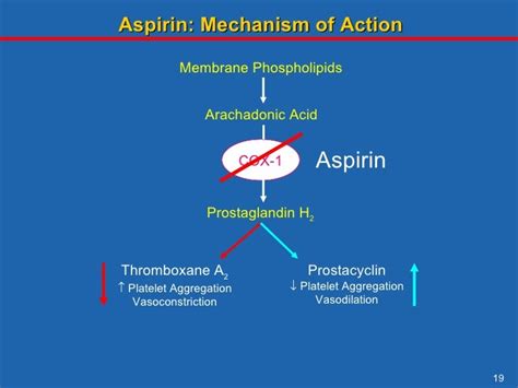 Aspirin Mechanism Of Action / Hemostasis: Lesson 5 - Antiplatelet Meds ...