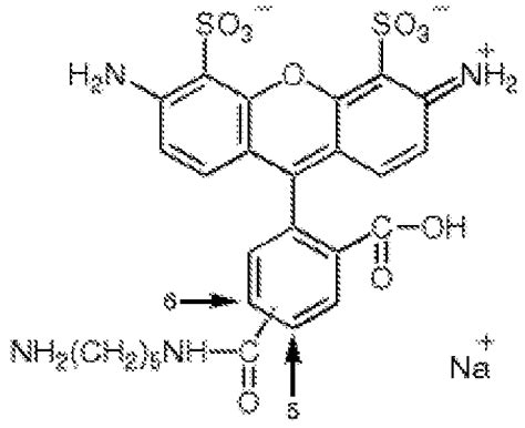 Alexa Fluor 647 Molecular Weight – Blog Dandk