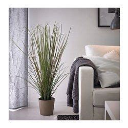 Best Fejka Artificial Potted Plant Ikea Pampas Grass Vase