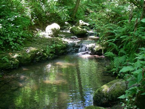 Forest Park, Portland. Oregon. This is inside the city limits of ...