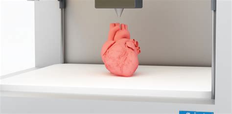 Researchers in Israel 3D Print a Personalized Heart from Donor’s Tissue