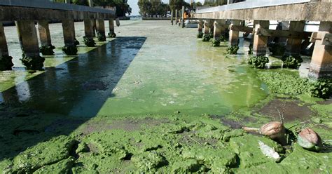 Glades residents: Don't blame us for Treasure Coast water pollution