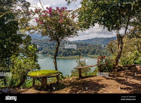 View of Buyan lake (Danau Buyan) from the top. Bedugul, Buleleng, Bali ...