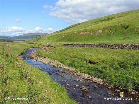 National Park Northumberland Photos, National Park Northumberland Images, Nature Wildlife ...