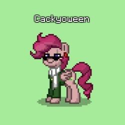 Ponytown Ponification on Tumblr