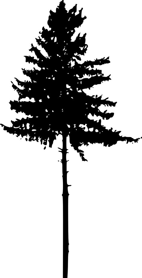 Tree Pine Silhouette Clip art - pine tree png download - 1022*2000 - Free Transparent Tree png ...