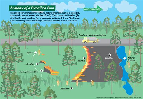 Prescribed Fire in the Northwest | USDA Climate Hubs