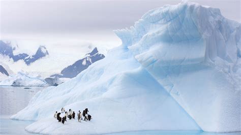 Antarctica was likely discovered 1,100 years before Westerners 'found ...