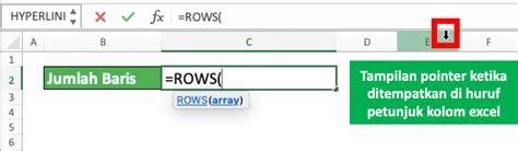 Baris dan kolom microsoft excel