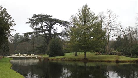 PODcast | A Winter walk at Painshill Park