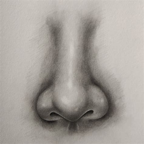 How To Draw A Nose Easy / Proko How To Draw A Nose Step By Step