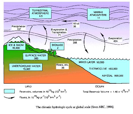 The hydrosphere and the oceans