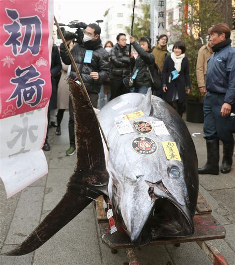 Tsukiji fish market holds final New Year auction