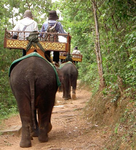 elephant riding thailand - Not Without My Passport