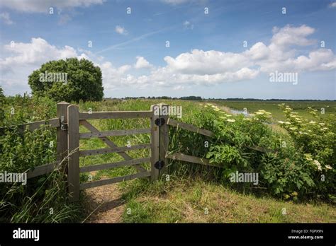 Walks near Thurne Stock Photo - Alamy