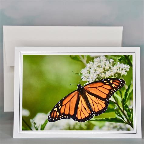 Butterfly Photo Note Cards - Blank Note Cards